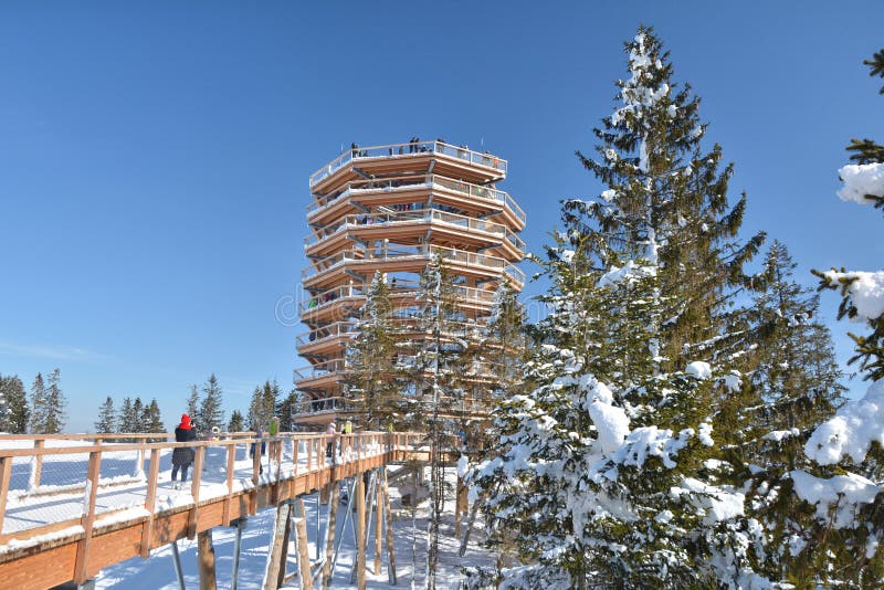 The treetop walk Bachledka in Bachledova valley in Slovakia.