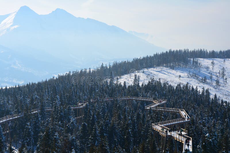 The treetop walk Bachledka in Bachledova valley in Slovakia. Scenic wooden bridge over trees.