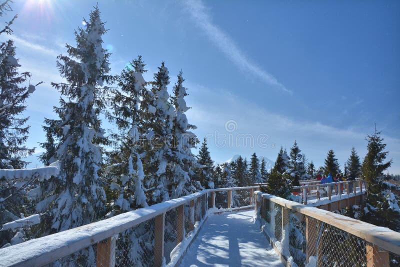 The treetop walk Bachledka in Slovakia