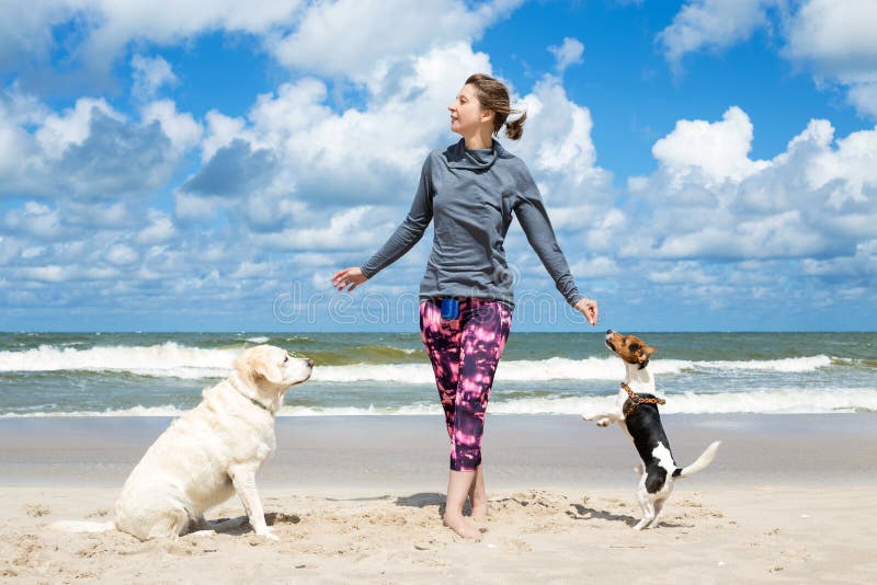 Woman training dogs on the beach. Woman training dogs on the beach
