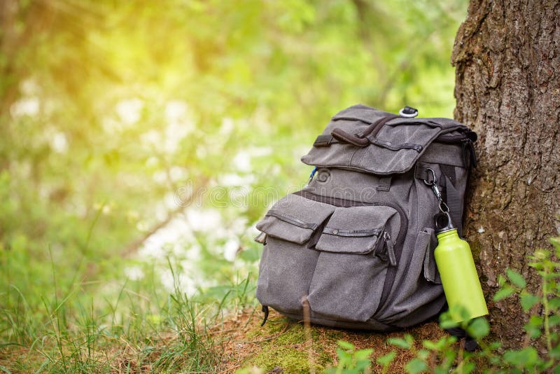 Trekking Heavy Backpack in Forest Stock Photo Image of hiking, holiday 87847920