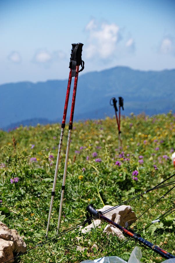 Trekking poles on a flower meadow in the mountains. Equipment for tourism. Trekking in the mountains. royalty free stock photos Trekking poles on a flower meadow in the mountains. Equipment for tourism. Trekking in the mountains. royalty free stock photos