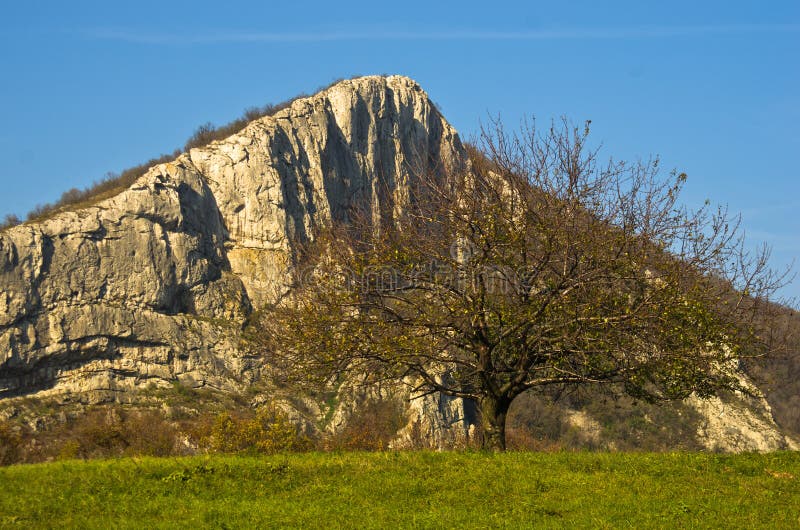 Trekking w jesieni przy łąką z dużą skałą i starym drzewem na pogodnym jesień dniu zdjęcie stock Trekking w jesieni przy łąką z dużą skałą i starym drzewem na pogodnym jesień dniu zdjęcie stock