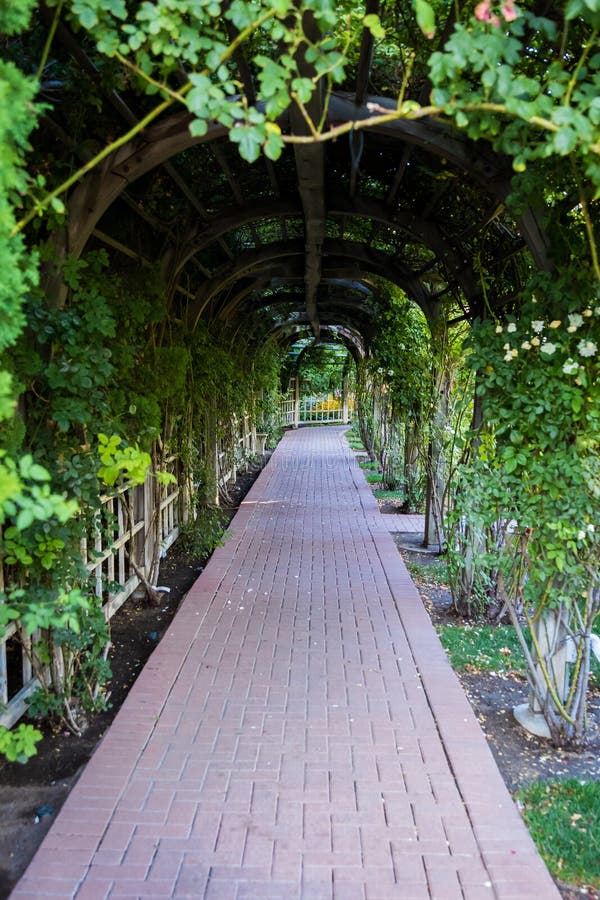 Walkway Trellis stock image. Image of plants, bushes 20509387