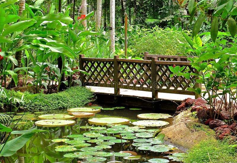 Trellis wooden bridge and lily pond