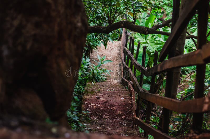 Trempez ramène un chemin dans une forêt à côté d'une grande roche image stock Trempez ramène un chemin dans une forêt à côté d'une grande roche image stock
