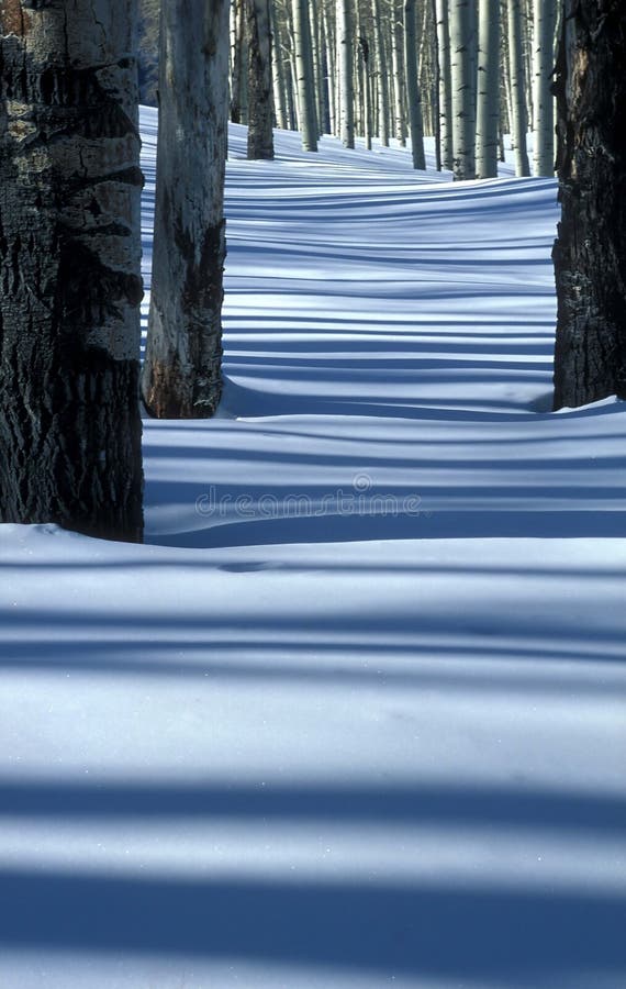 Tremule e neve Tremule e neve