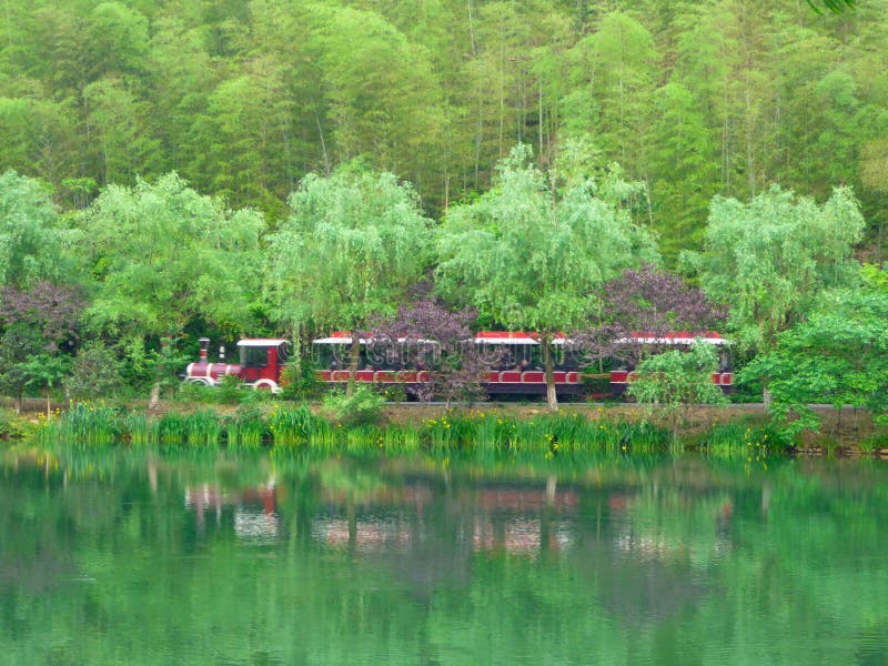 Tren turístico sin rieles que viaja a través del bosque imagen de archivo libre de regalías Tren turístico sin rieles que viaja a través del bosque imagen de archivo libre de regalías