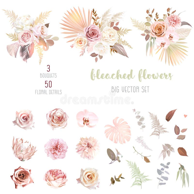 Trendy getrocknete Palmblätter rot rosa und rost rosa blass Protea weiß ranunculus lizenzfreie abbildung