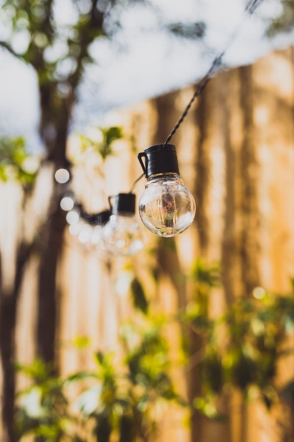Trendy Globe String Lights Outdoor Hanging from Trees in Private Garden