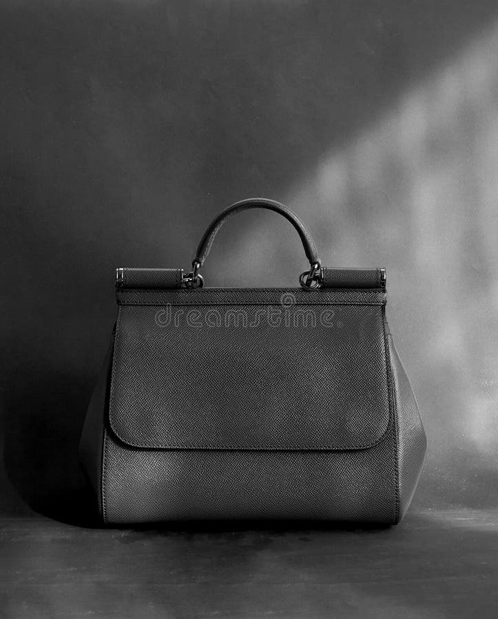 Trendy Leather Handbag with Top Handle. Black and White Image Stock