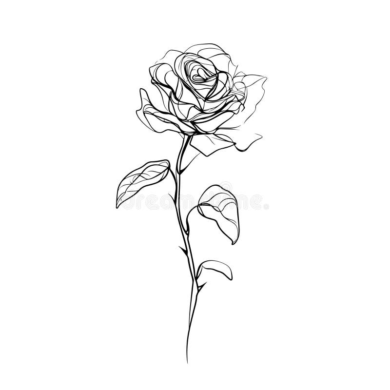 Trendy Line Art Drawing of a Romantic Rose Flower for Logos and ...