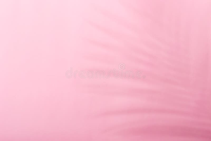 Thiết kế hình nền đơn sắc với bóng lá nhiệt đới màu hồng đang là trào lưu mới nhất. Trong bức ảnh này, sắc đen và trắng vô cùng tinh tế được phối hợp cùng cánh lá nhiệt đới màu hồng nổi bật, tạo nên một phong cách cực kỳ sang trọng và hiện đại. Hãy xem ngay để cập nhật xu hướng!