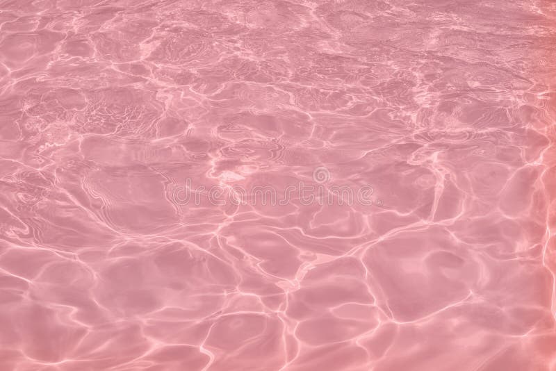 Pink water surface with bright sun light reflections, water in swimming  pool background Stock Illustration