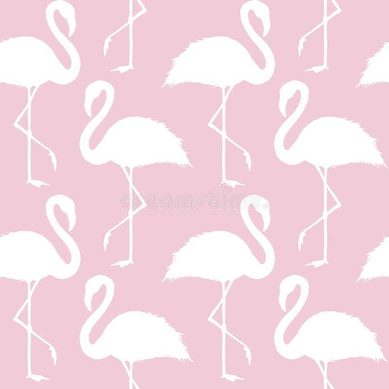 Trendy pink and white flamingo seamless pattern stock illustration Trendy pink and white flamingo seamless pattern stock illustration