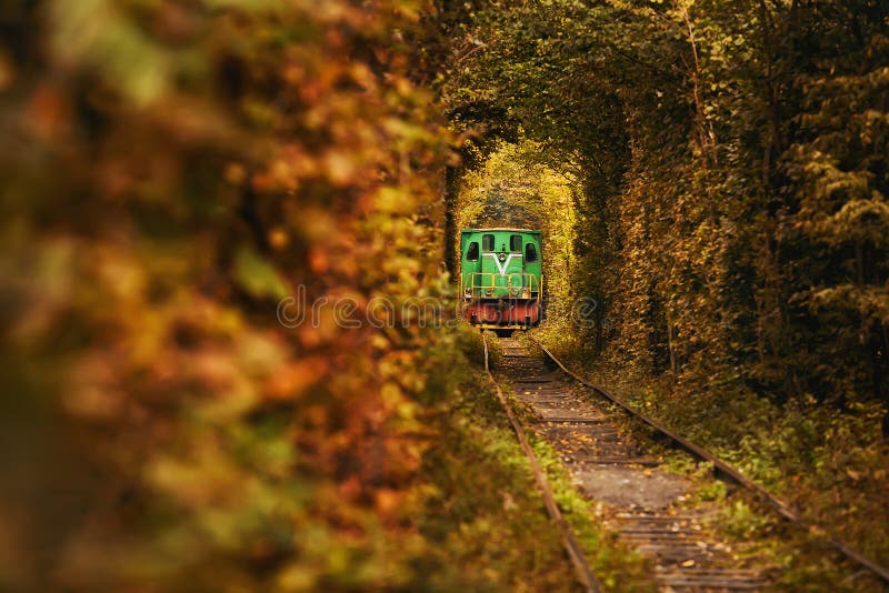Treno d'annata sul bello tunnel Tunnel dell'amore naturale in Ucraina immagini stock Treno d'annata sul bello tunnel Tunnel dell'amore naturale in Ucraina immagini stock