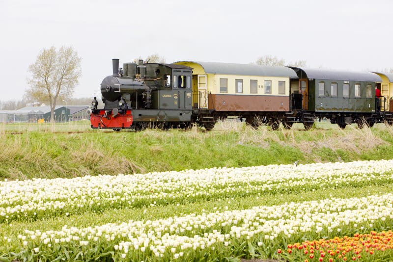 Treno a vapore, Hoorn - Medemblik, Noord Olanda, Paesi Bassi immagine stock Treno a vapore, Hoorn - Medemblik, Noord Olanda, Paesi Bassi immagine stock