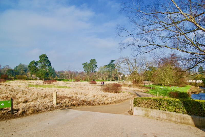 The gardens in late winter