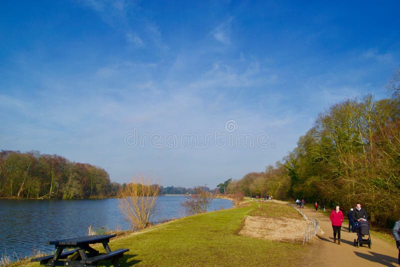 On the pathway at Trentham