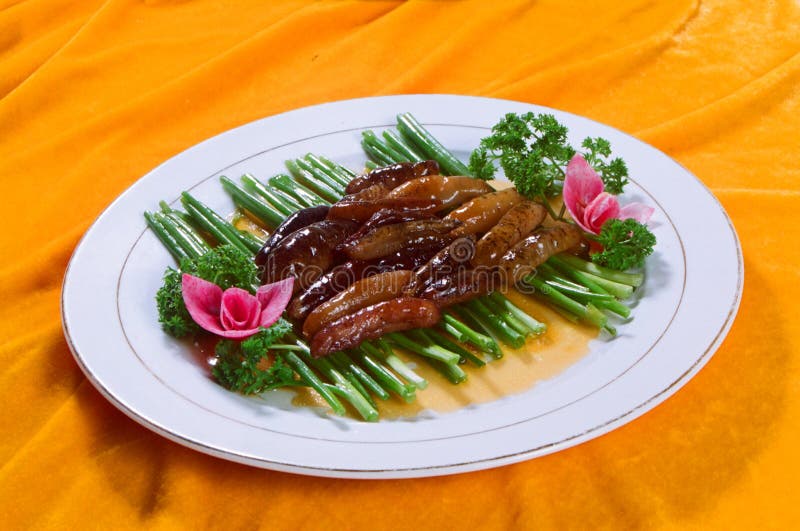 Trepang stock photo. Image of bolt, cuisine, tasty, meal 7338178