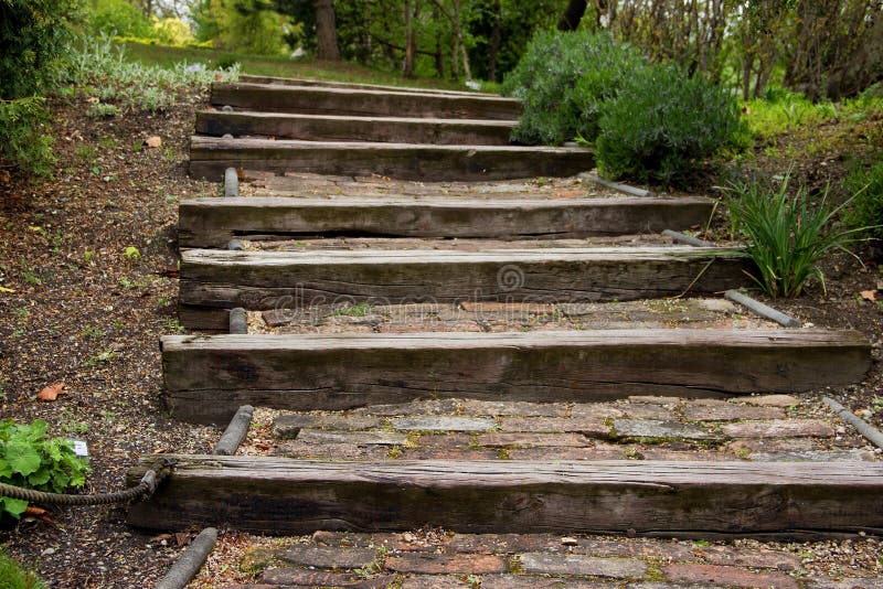 Treppe Hergestellt Vom Holz Im Park Stockfoto Bild Von Park Treppe 40770440