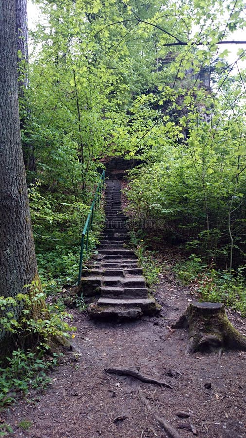 Treppe im Wald stockbild. Bild von notwendigkeiten, wald - 58704323