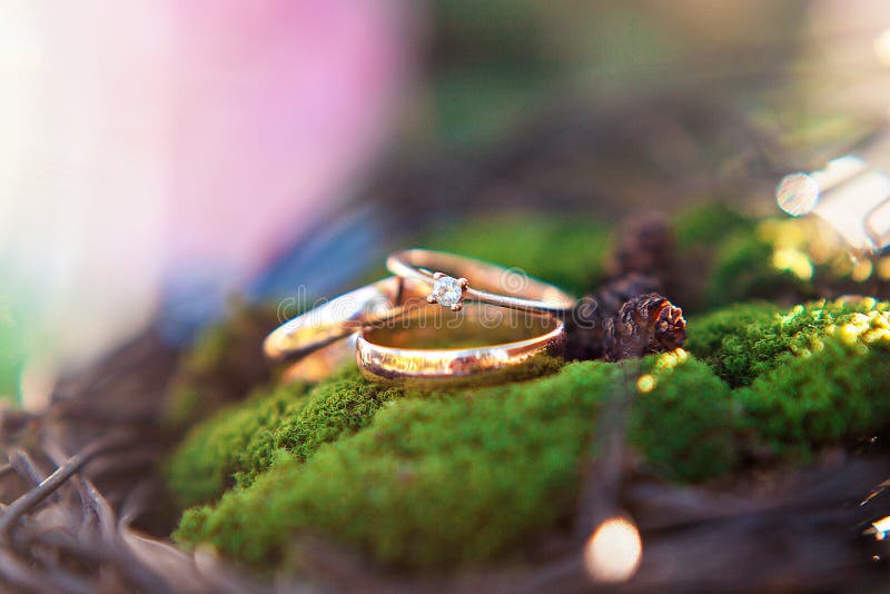 Tres anillos de bodas de oro en el fondo del musgo imagen de archivo Tres anillos de bodas de oro en el fondo del musgo imagen de archivo
