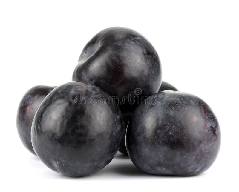Tres ciruelos negros, aislados en el fondo blanco imagen de archivo libre de regalías Tres ciruelos negros, aislados en el fondo blanco imagen de archivo libre de regalías