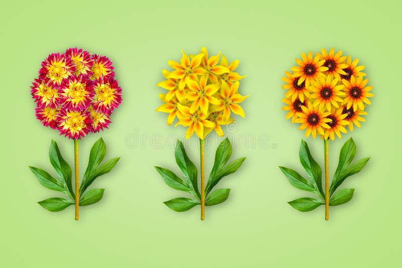 Tres flores de lujo en un fondo verde oliva La composici?n de dalias rojo-anaranjadas, lirios y rudbecky amarillos Objeto del art fotografía de archivo libre de regalías Tres flores de lujo en un fondo verde oliva La composici?n de dalias rojo-anaranjadas, lirios y rudbecky amarillos Objeto del art fotografía de archivo libre de regalías