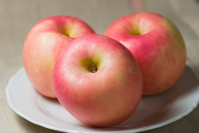 Closeup of three apples (fuji). Shallow focus depth on front apple. Closeup of three apples (fuji). Shallow focus depth on front apple