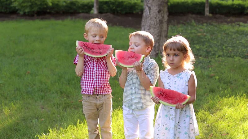 Tres niños felices alegres comen la sandía en verano en el parque almacen de metraje de vídeo