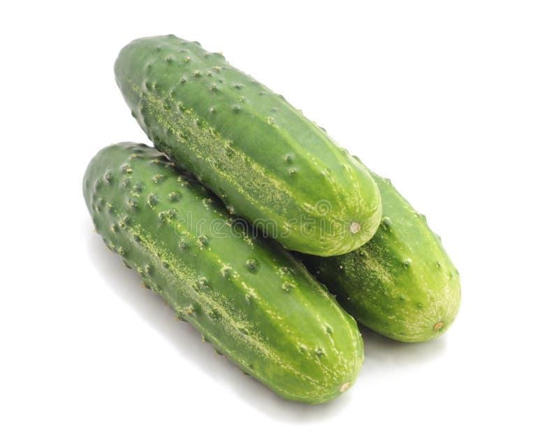 Three ripe cucumbers on white background. Three ripe cucumbers on white background