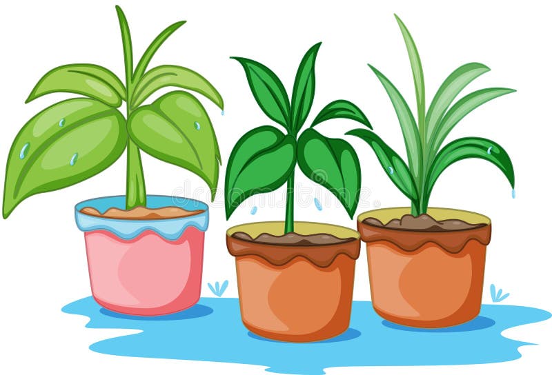 Tres plantas hermosas ilustración del vector. Ilustración de crisoles -  14274403