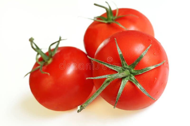 Tres tomates de la vid foto de archivo Tres tomates de la vid foto de archivo