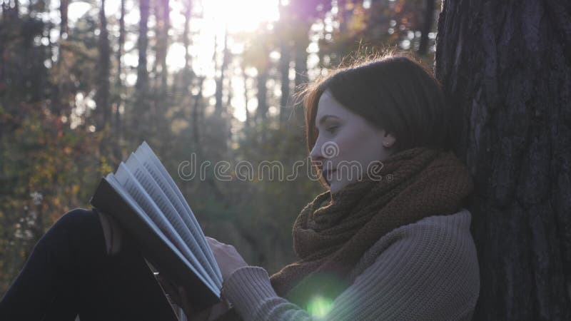 Trevlig brunettkvinna som reser och läser bok i höstskogen vid solnedgången Kvinnliga turister som vill bli avslappnade och som n