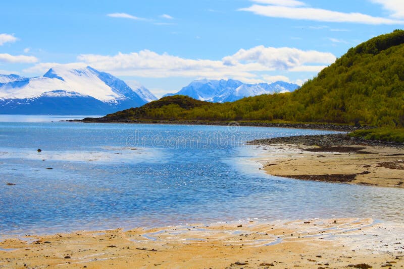 A nice summer day on the beach by the sea with crystal clear water, sun and green vegetation. A nice summer day on the beach by the sea with crystal clear water, sun and green vegetation