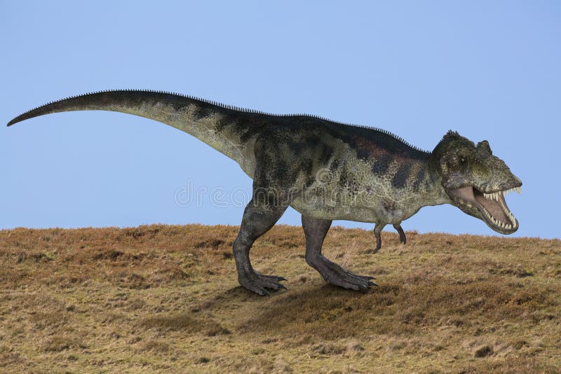 Trex dinosaurie royaltyfri fotografi Trex dinosaurie royaltyfri fotografi
