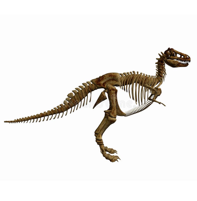 trex skeleton