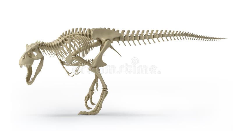 Trex su bianco illustrazione di stock Trex su bianco illustrazione di stock
