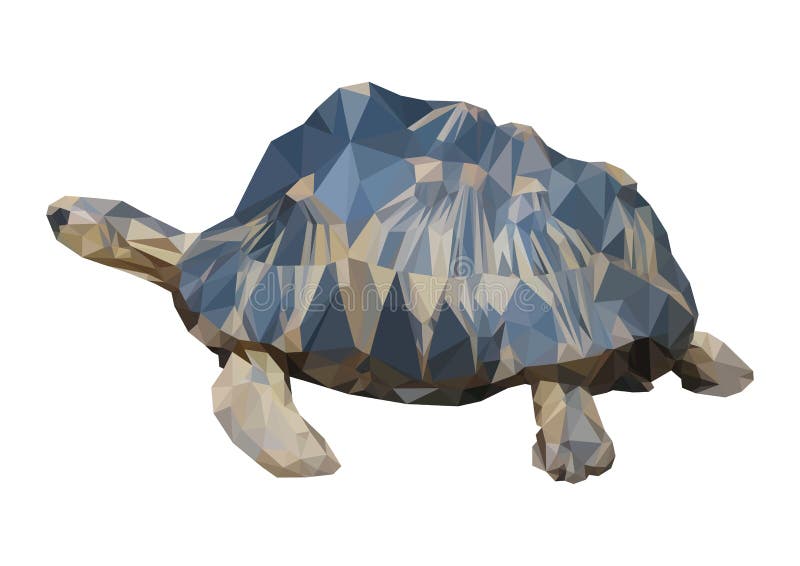 Polygonal Turtle Stock Illustrations 130 Polygonal Turtle Stock Illustrations Vectors Clipart Dreamstime