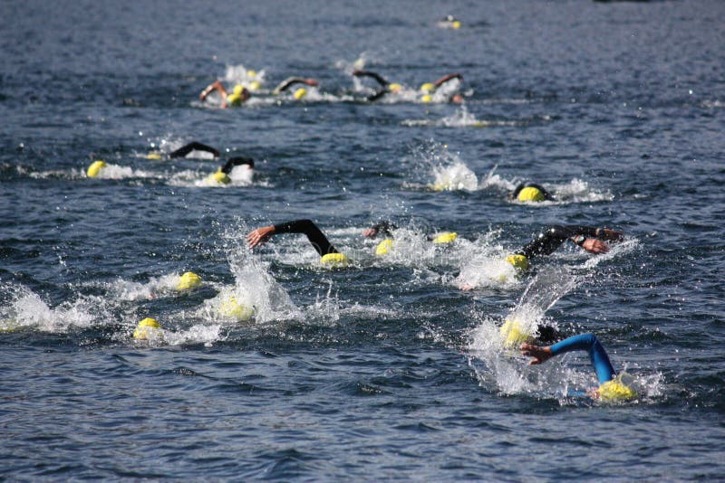 Triathlon de nageurs photographie stock libre de droits