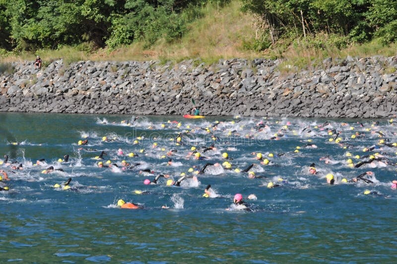 Triathlon, nadadores. imagen de archivo libre de regalías Triathlon, nadadores. imagen de archivo libre de regalías