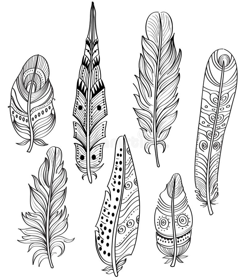 Set of ethnic feathers stock vector. Illustration of sketch - 69796606