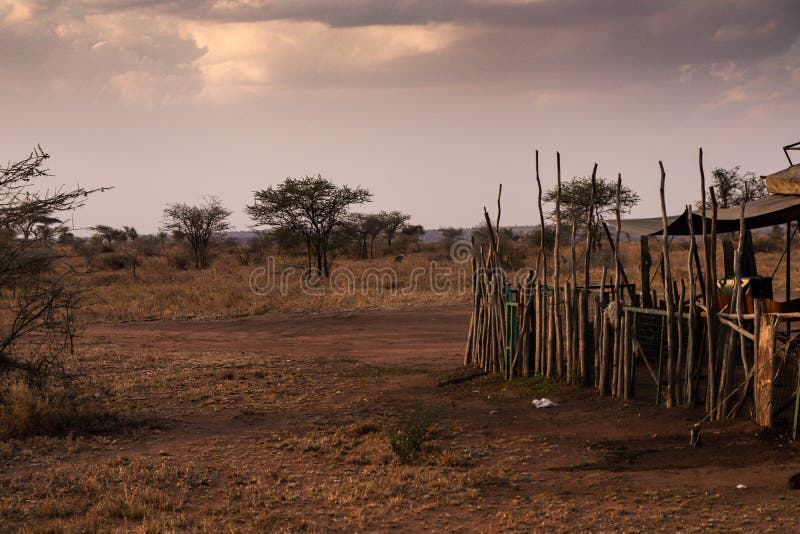 tribu africana al atardecer foto de archivo libre de regalías tribu africana al atardecer foto de archivo libre de regalías