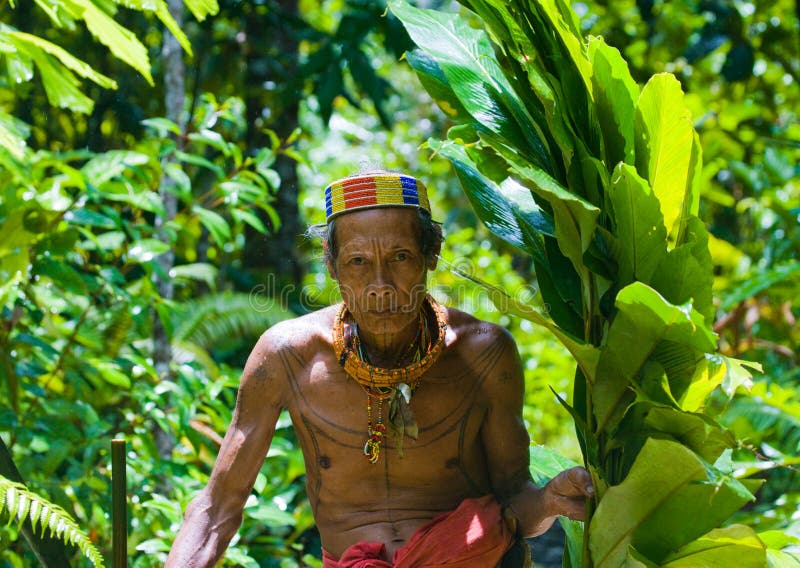  Tribu  De Mentawai  D homme Dans La Jungle Image ditorial 