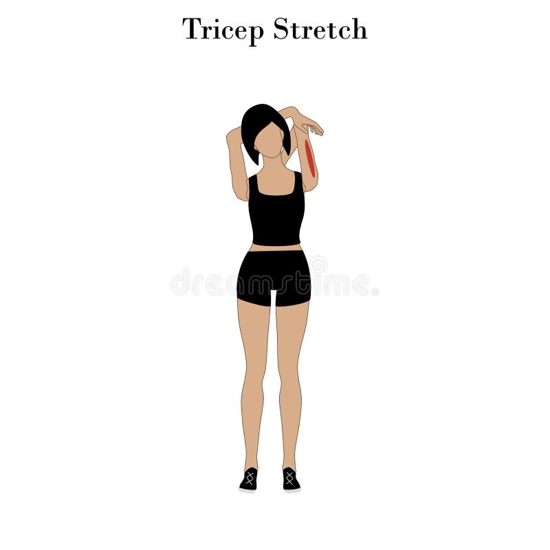 Tricep Stretch Stock Illustrations – 138 Tricep Stretch Stock  Illustrations, Vectors & Clipart - Dreamstime