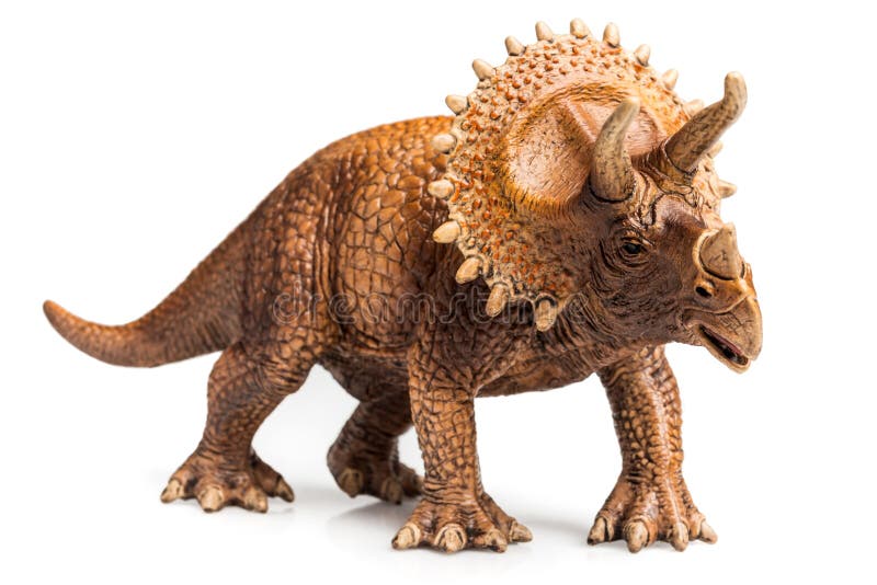 in cartapesta Décopatch AP155O 16 x 9 x 6 cm Marrone Mache di dinosauro triceratopo 