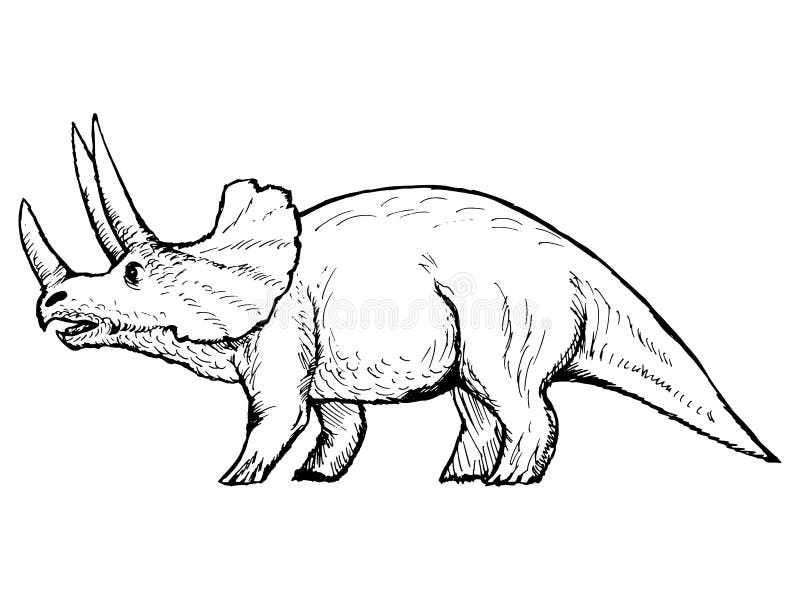 Triceratops vektor abbildung. Illustration von hand, gezeichnet - 30801117
