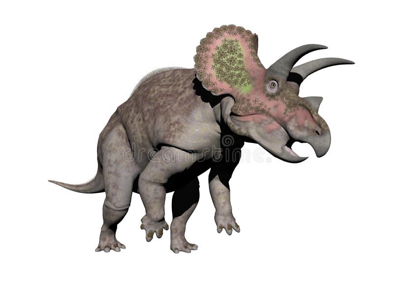 Triceratops Dinosaur - 3d Render Stock Illustration - Illustration of prehistory, dino: 50143831