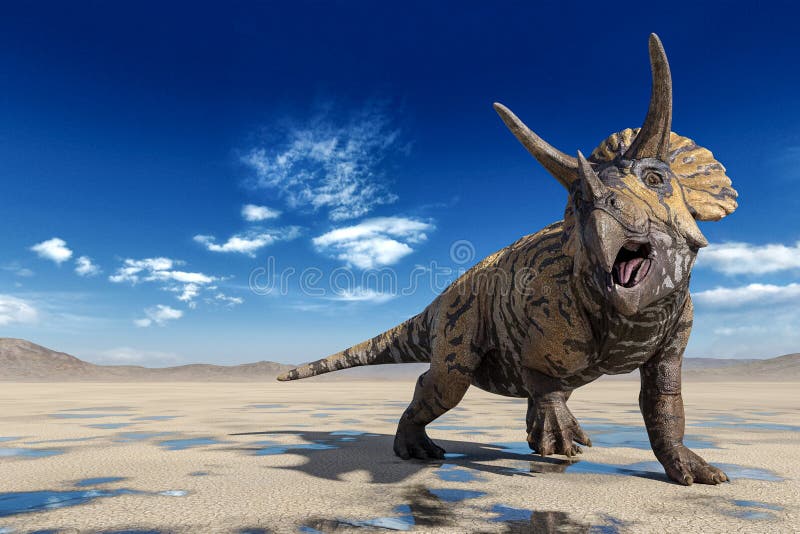 Triceratops doing a cool pose on the desert walking after rain